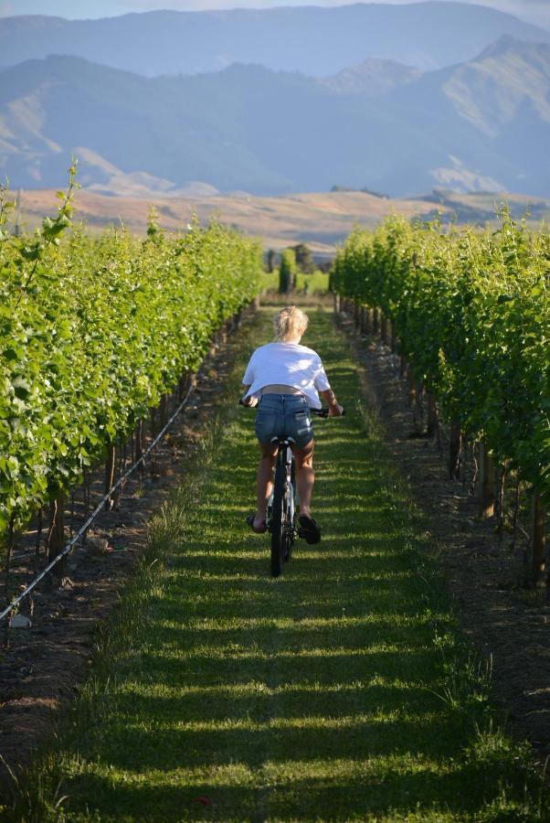 Ddog Vineyard & Bnb Renwick Zewnętrze zdjęcie