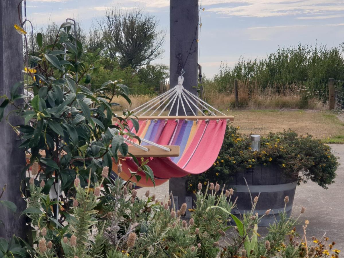 Ddog Vineyard & Bnb Renwick Zewnętrze zdjęcie