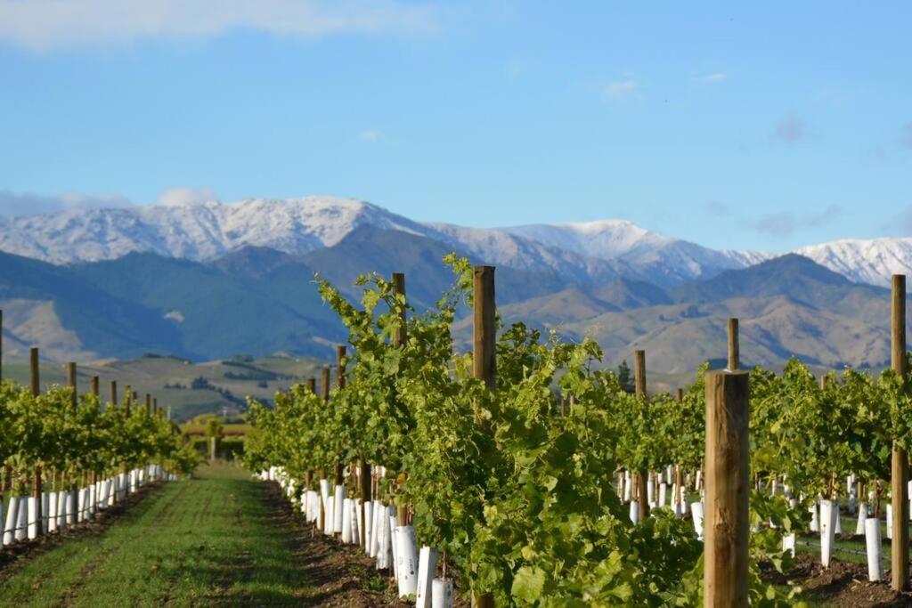 Ddog Vineyard & Bnb Renwick Zewnętrze zdjęcie