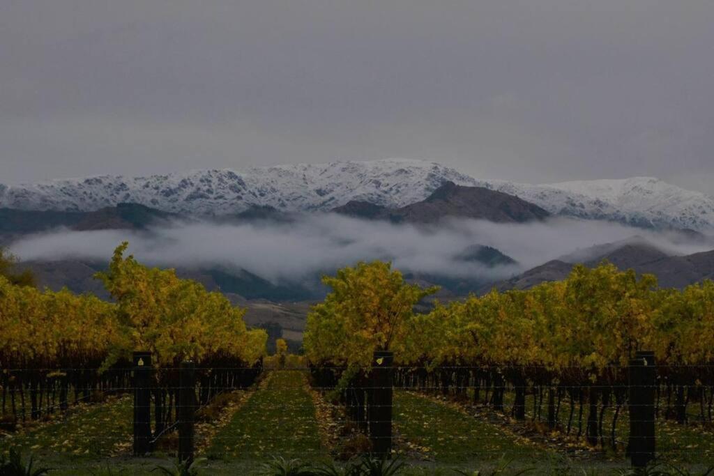 Ddog Vineyard & Bnb Renwick Zewnętrze zdjęcie