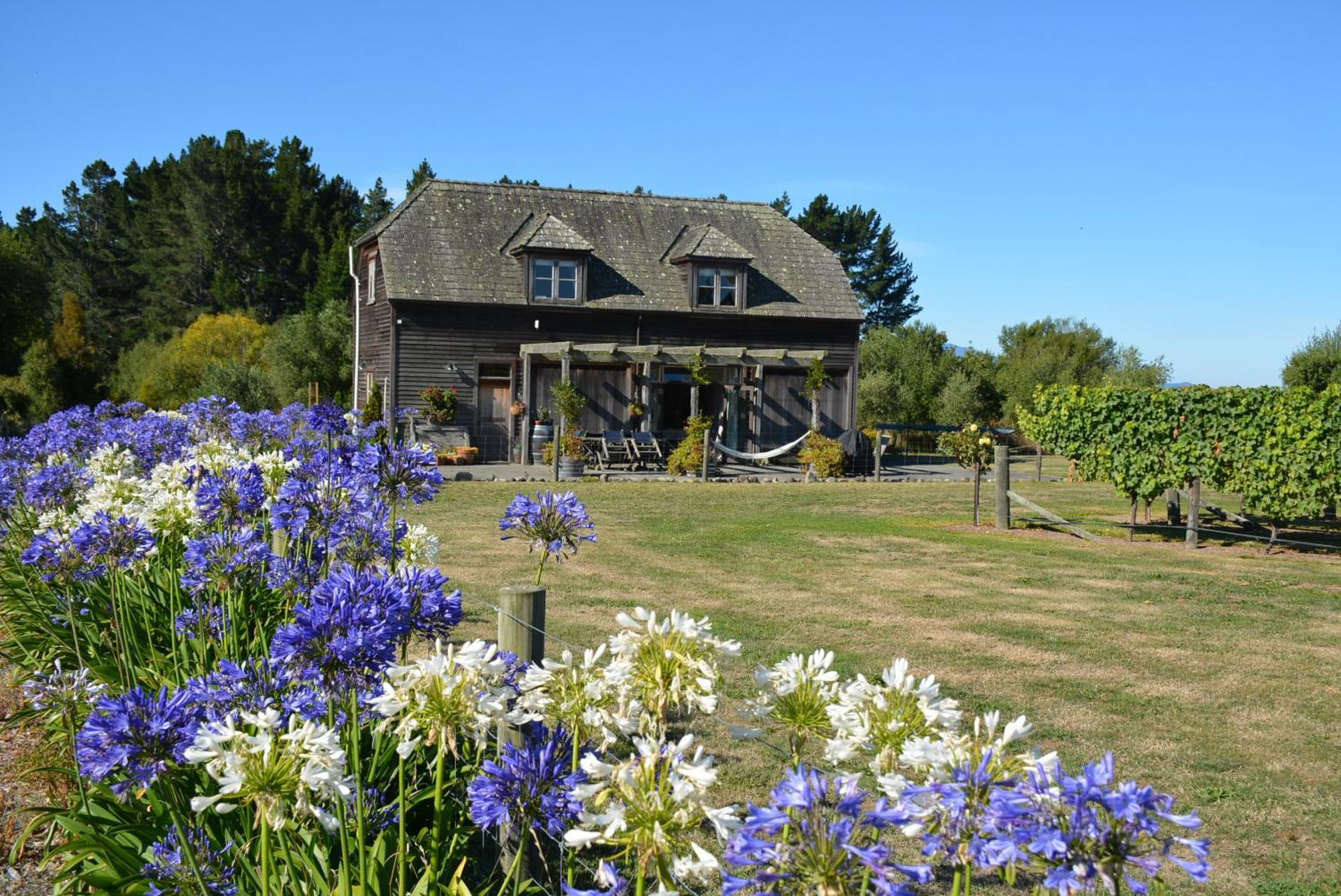 Ddog Vineyard & Bnb Renwick Zewnętrze zdjęcie